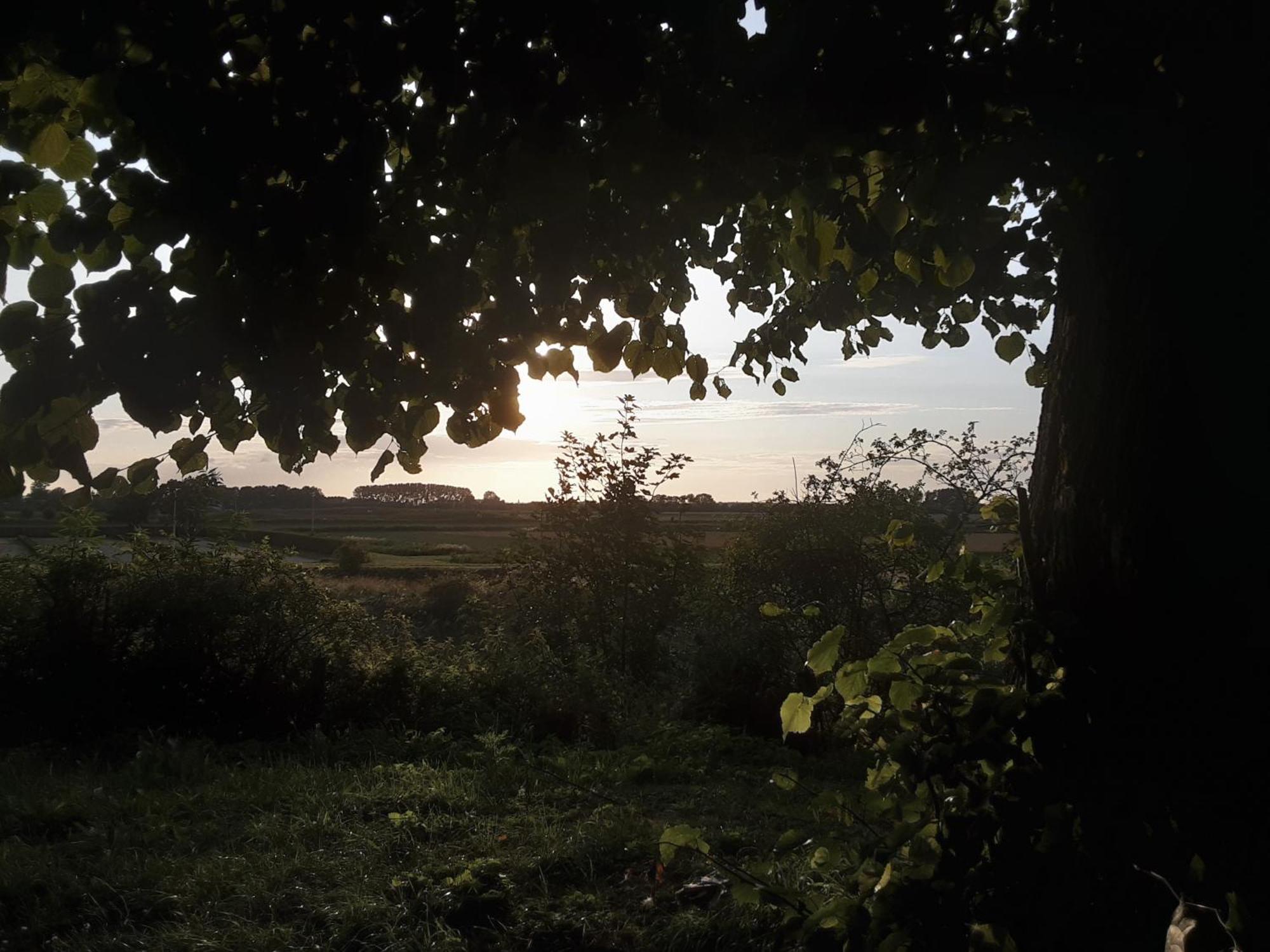 Séjour chez l'habitant Commune Poldersview L'Écluse